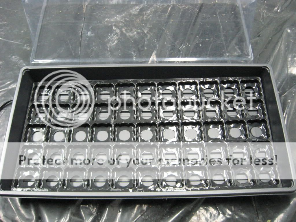 Posted Image