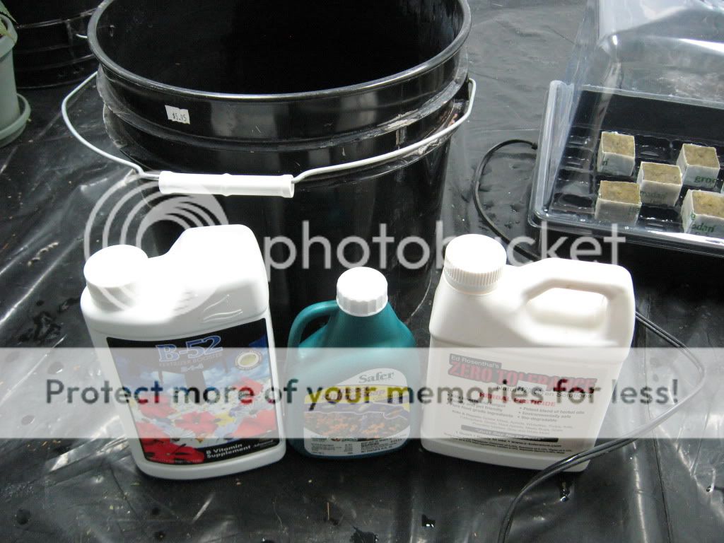 Posted Image