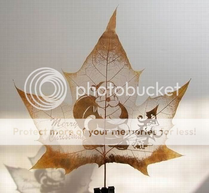 1263352161_art_leaves_09.jpg