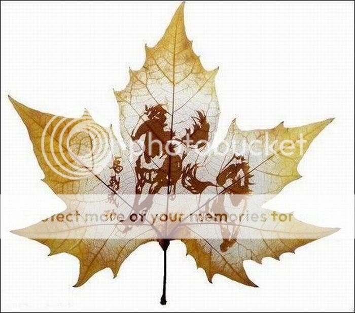 1263352168_art_leaves_12.jpg