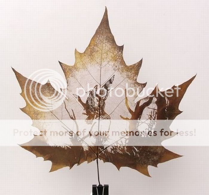 1263352185_art_leaves_05.jpg
