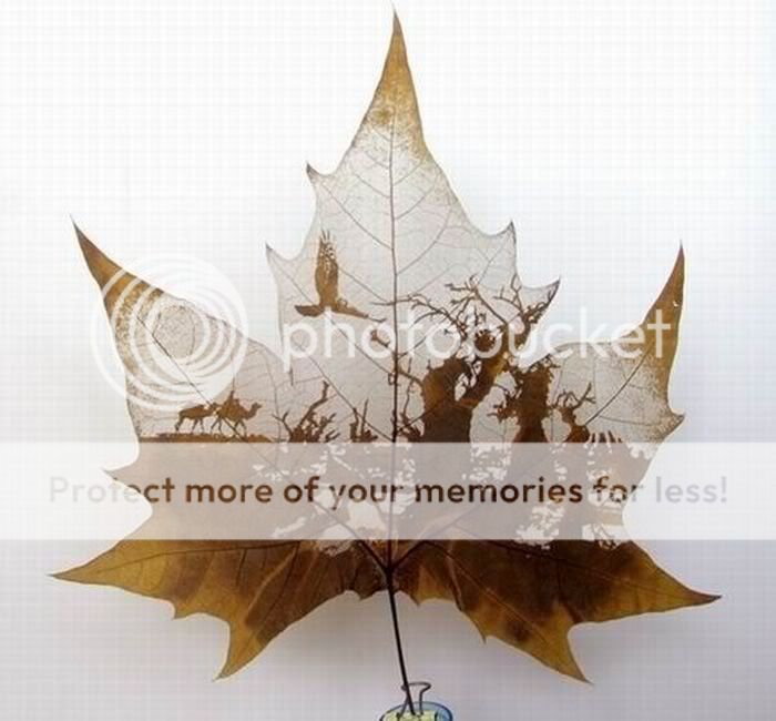 1263352222_art_leaves_06.jpg