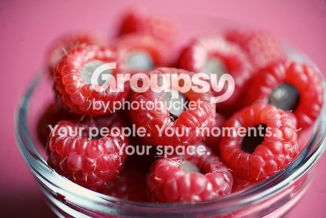  photo Raspberry_Chocolate_02.jpg