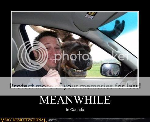 demotivational-posters-meanwhile2.jpg