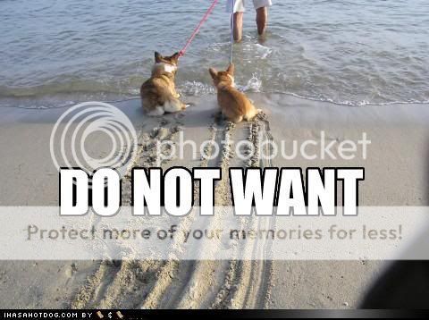 do not want photo: DO NOT WANT funny-dog-pictures-do-not-want.jpg