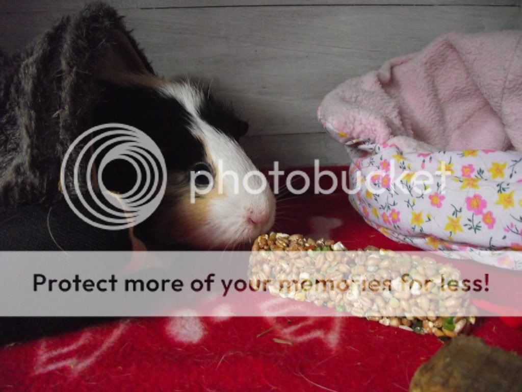 DSCF6058.jpg