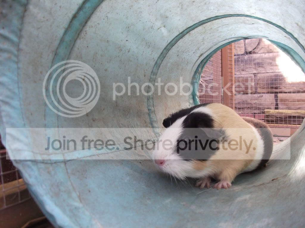 DSCF1221.jpg