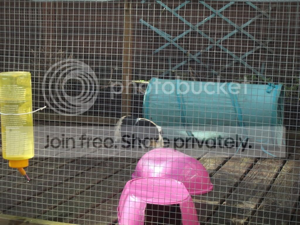 DSCF1228.jpg