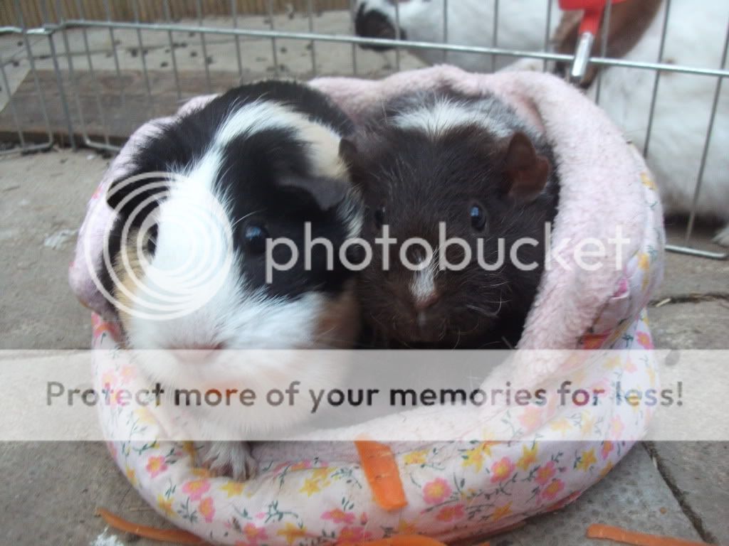DSCF1416.jpg