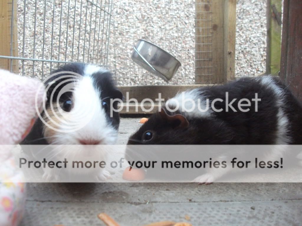 DSCF1418.jpg