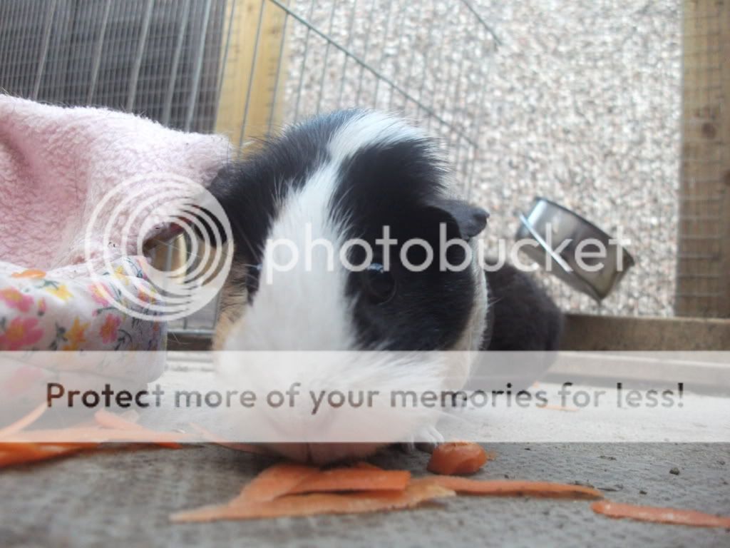 DSCF1424.jpg