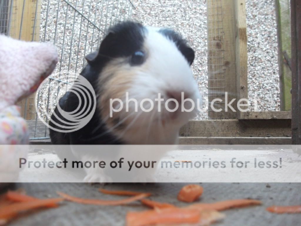 DSCF1425.jpg