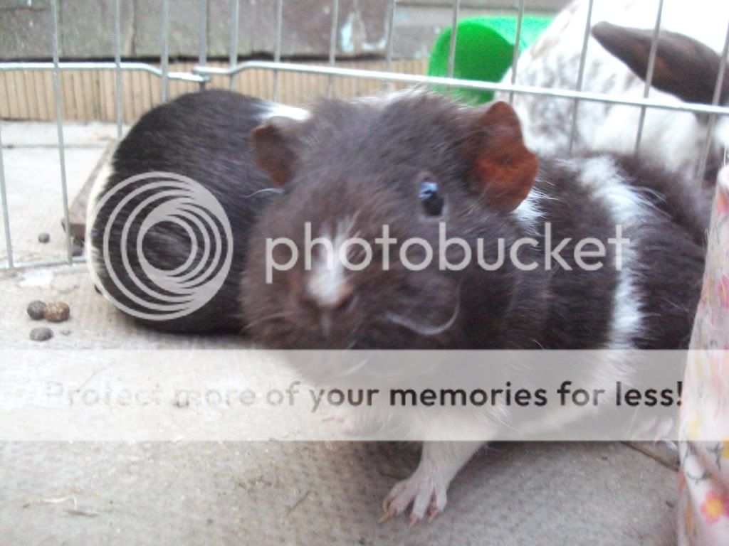 DSCF1426.jpg