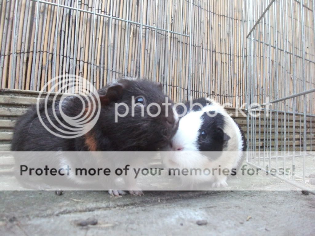 DSCF1429.jpg