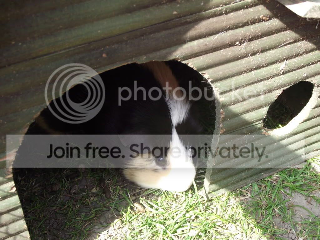 DSCF2411.jpg