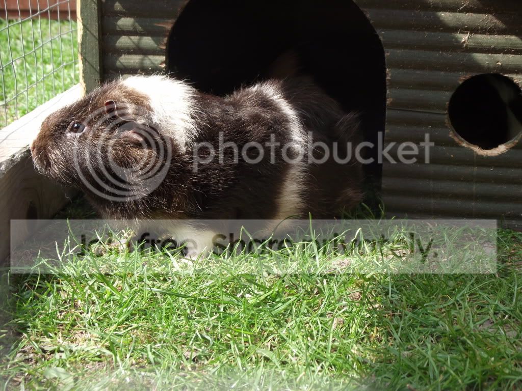 DSCF2422.jpg