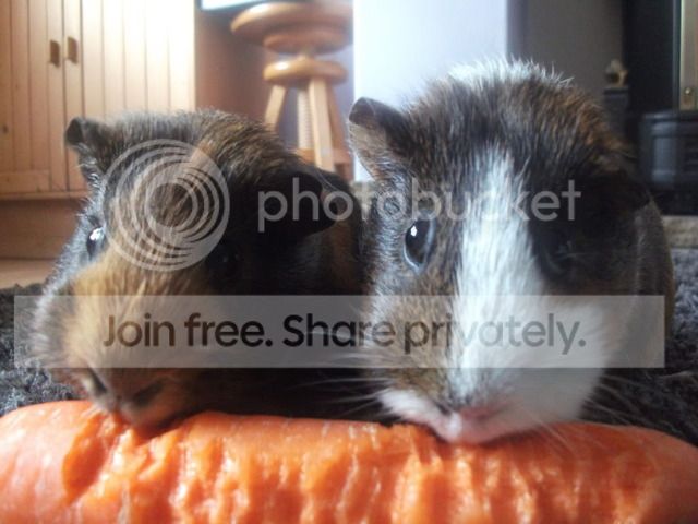 DSCF2479.jpg