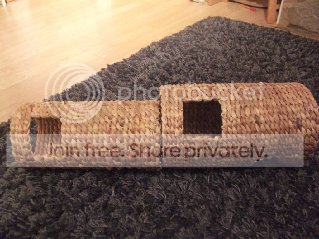 DSCF2516.jpg