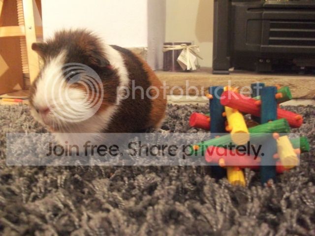 DSCF2529.jpg