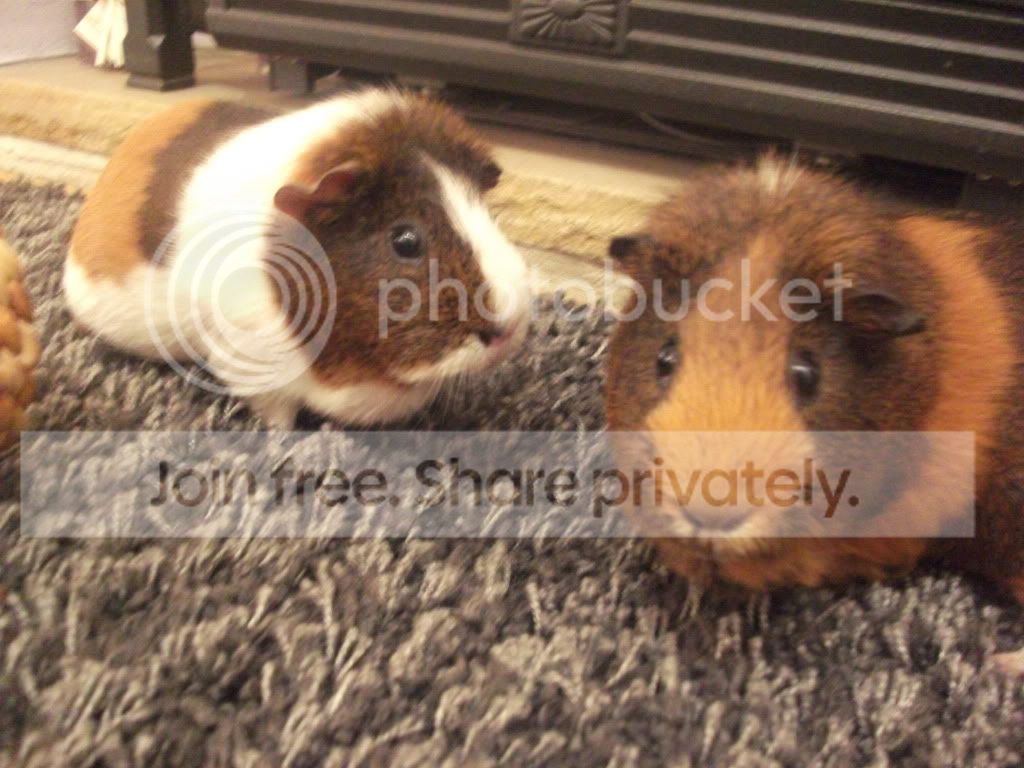 DSCF2548.jpg