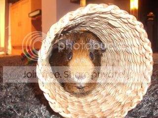 DSCF2572.jpg