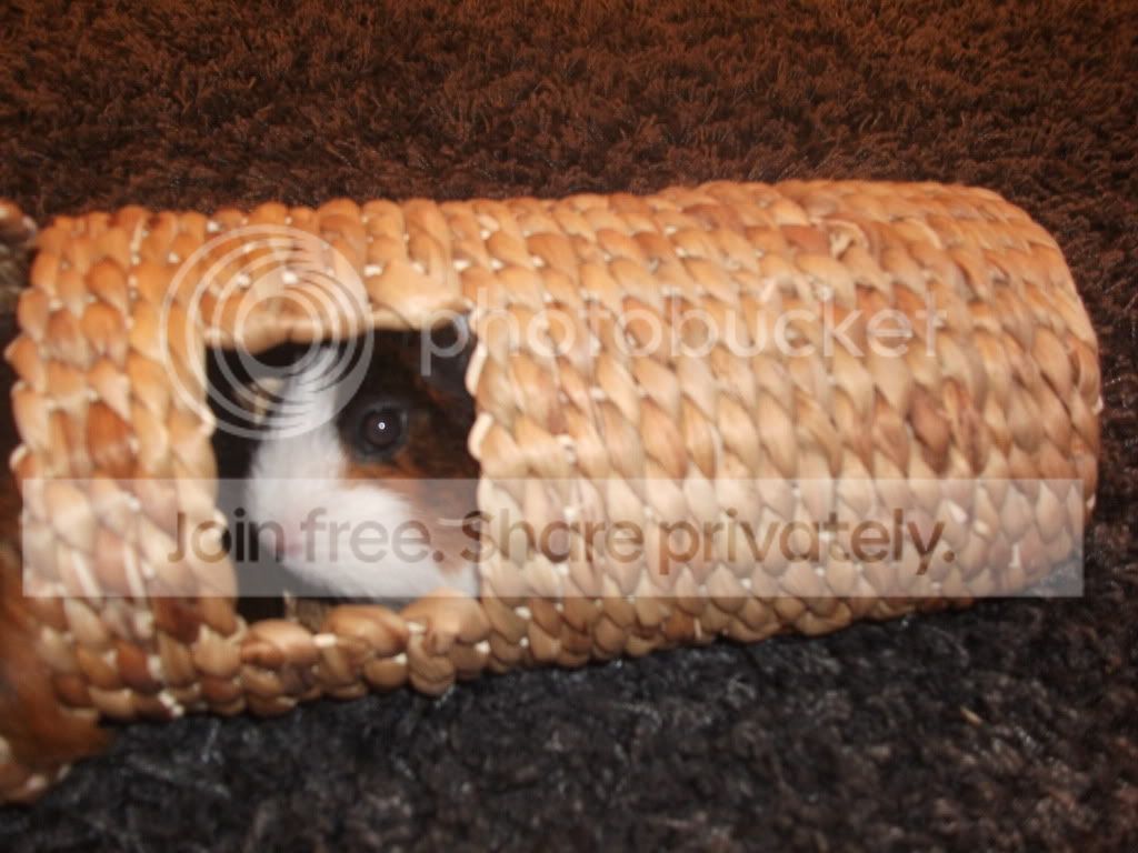 DSCF2574.jpg