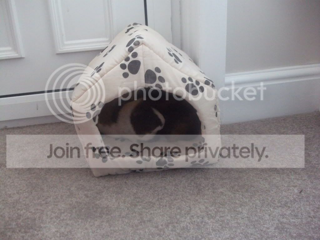 DSCF4378.jpg