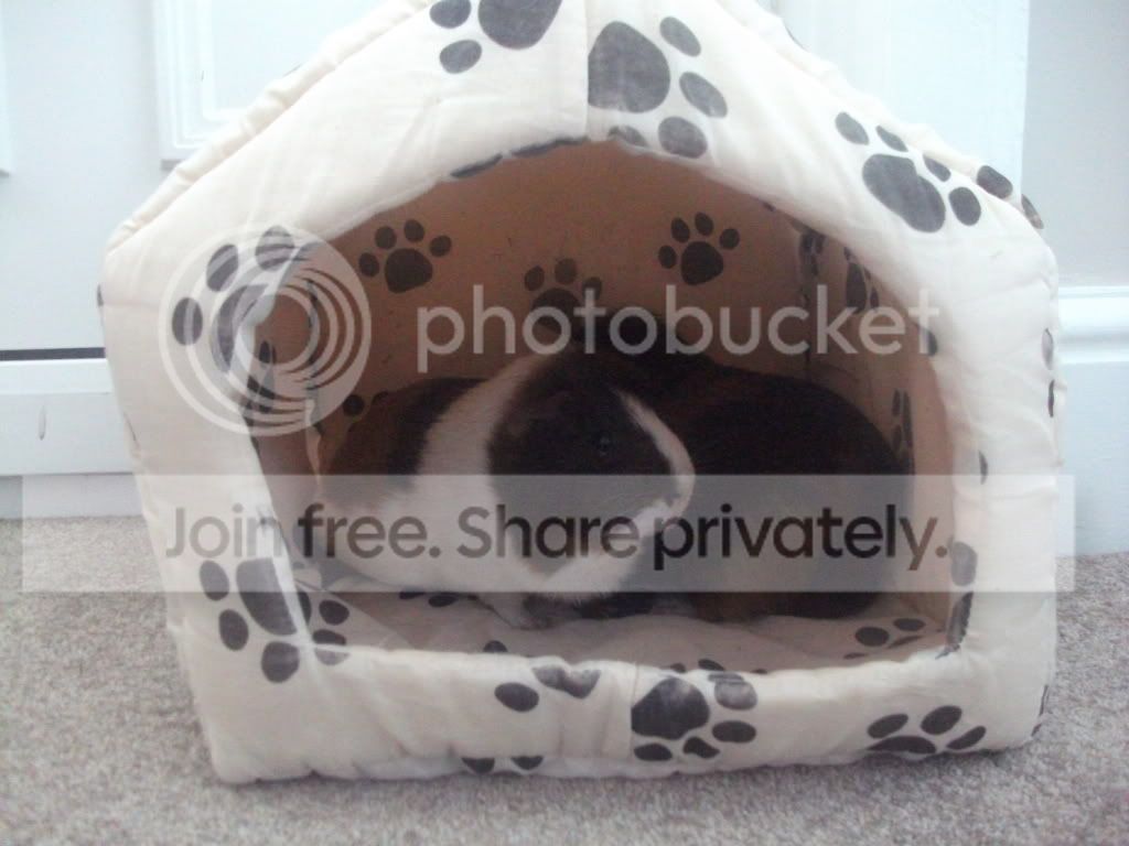 DSCF4379.jpg