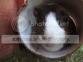 DSCF5140.jpg