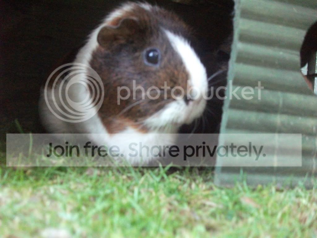 DSCF5161.jpg