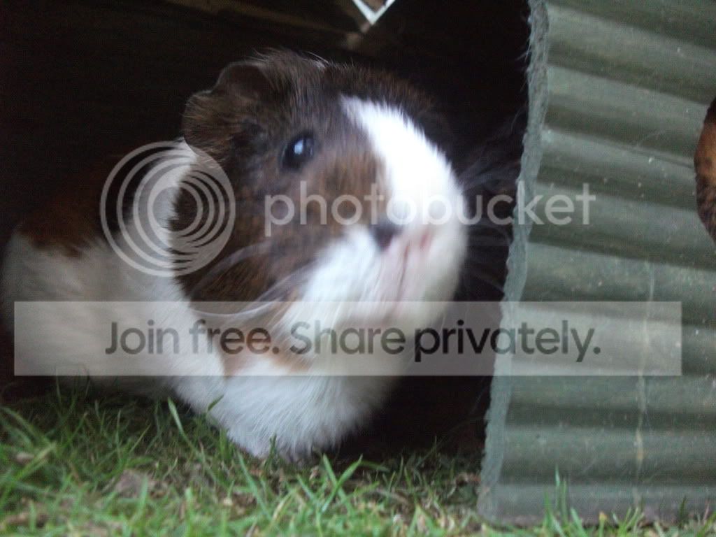 DSCF5163.jpg