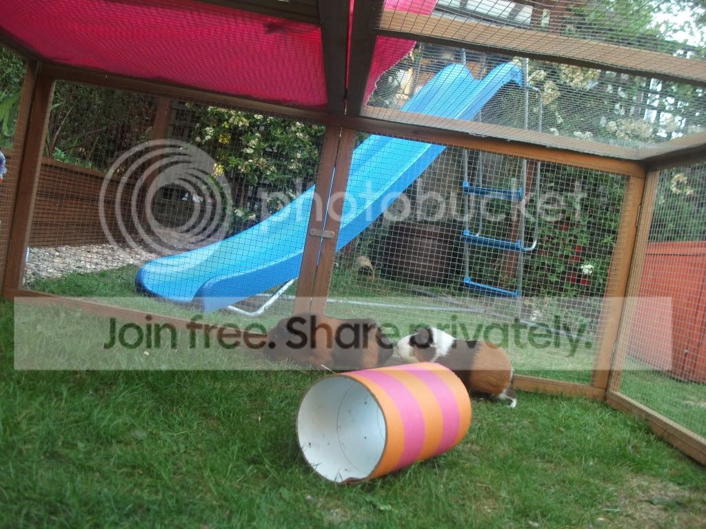 DSCF5166.jpg