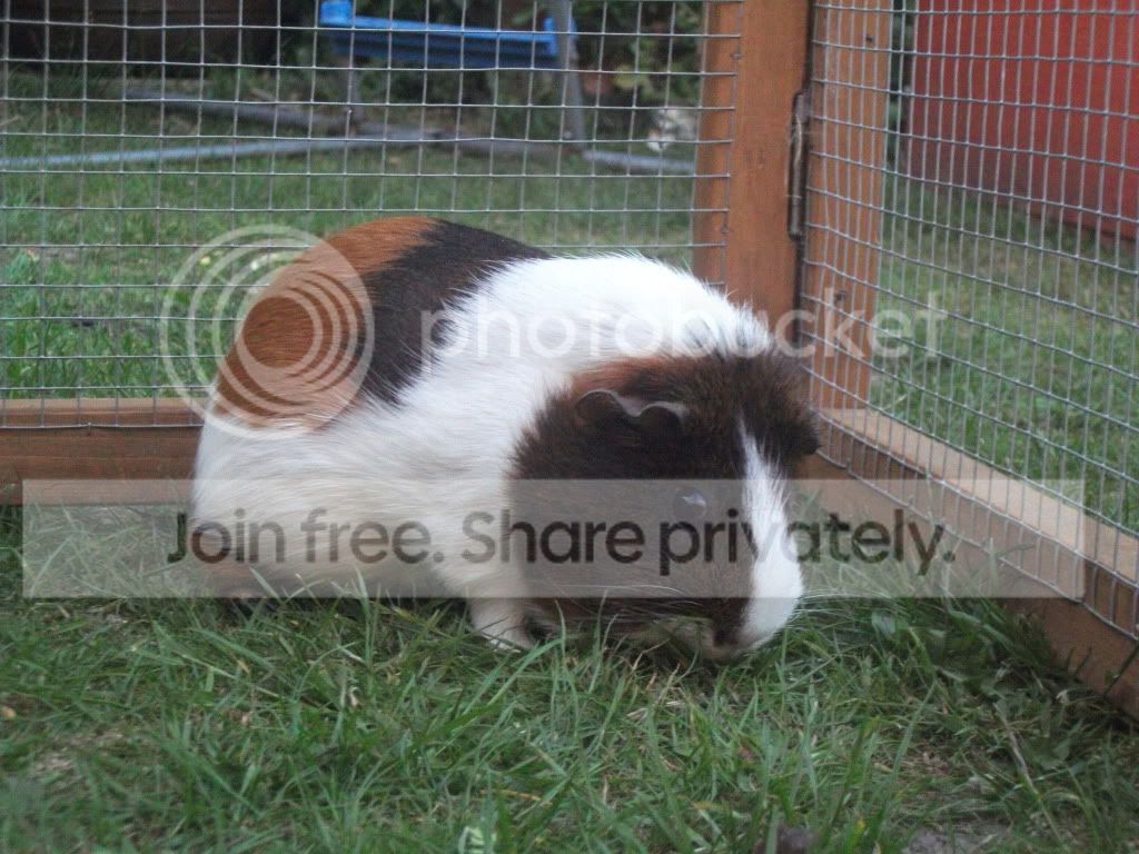 DSCF5177.jpg