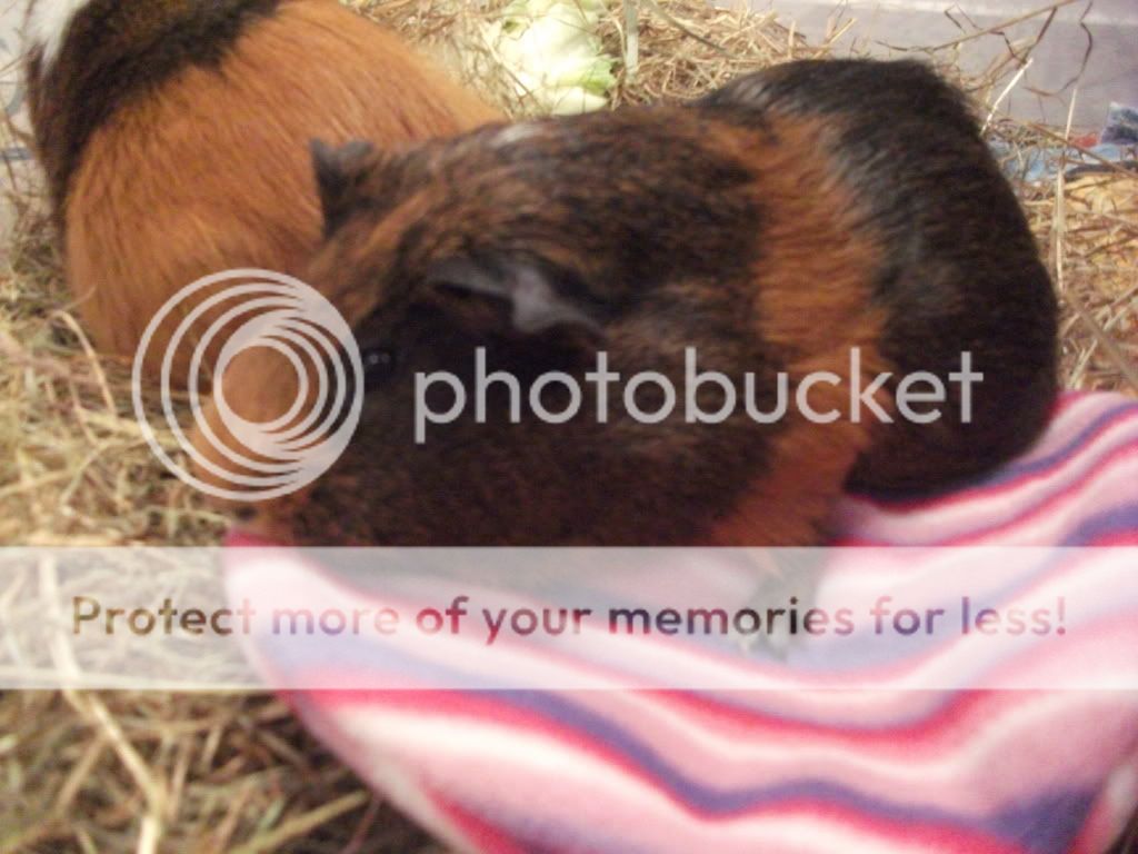 DSCF7960.jpg