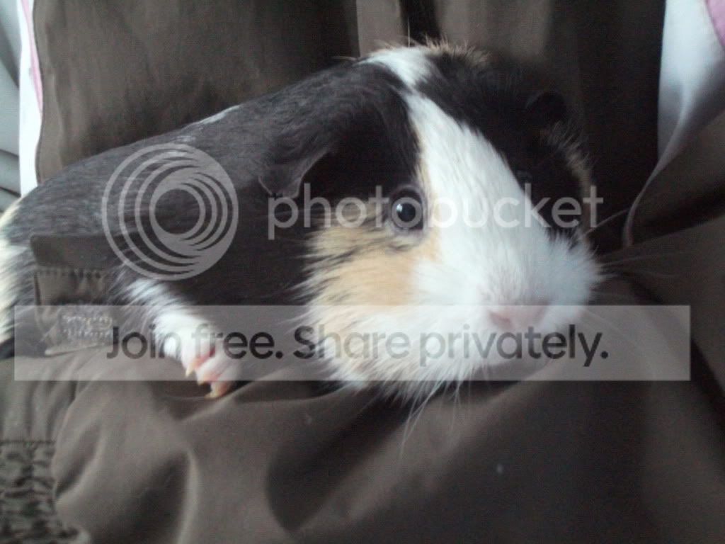 DSCF8174.jpg