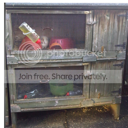 randomhutch.png