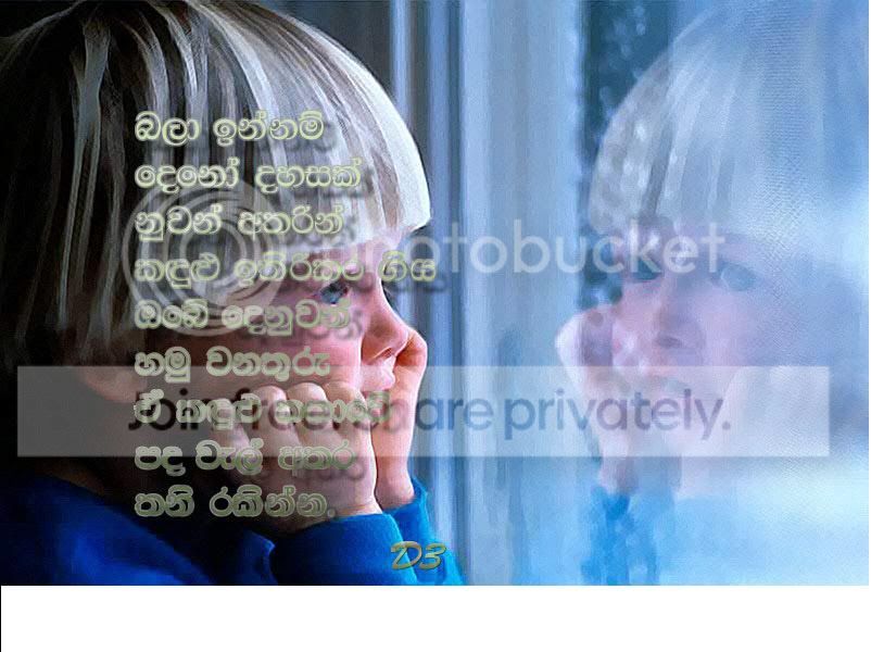 D321.jpg